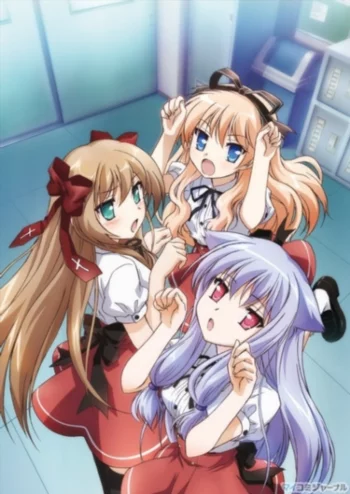 Нашествие бродячих кошек!