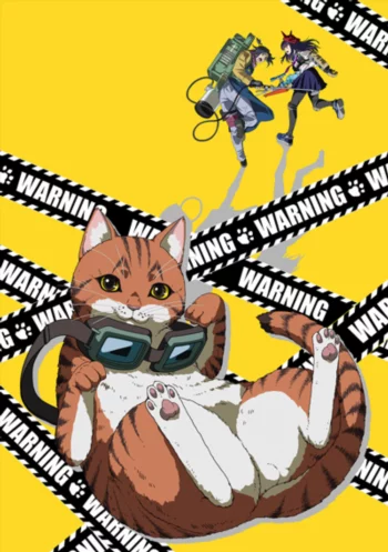 Ночь живых кошаков