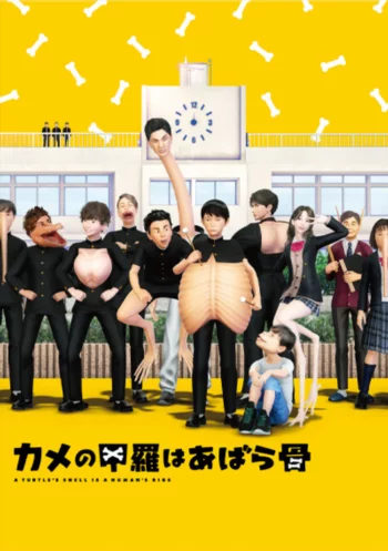 Панцирь черепахи — это рёбра человека