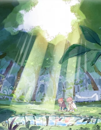 Страна Номо