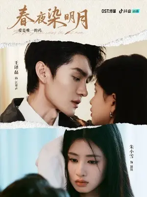 Глядя на яркую луну на ночном небе постер