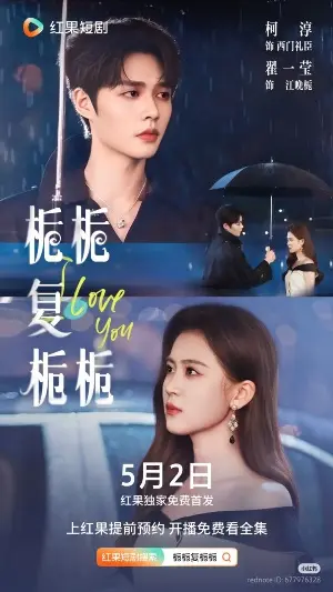 Моя Чжи Чжи постер