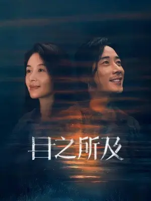 В пределах видимого постер