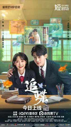 В погоне за бабочкой постер