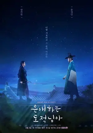 Постер Моя любимая воровка