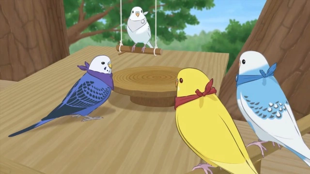 Разноцветные попугаи 2 новые серии