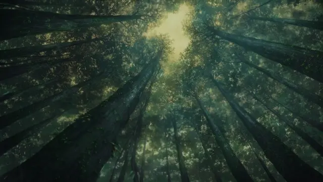 Аниме Нежить и Неудача: Зима онлайн